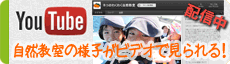 YouTube�Ŏ��R�����̓���`�����l���z�M���I