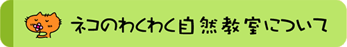 ネコのわくわく自然教室について